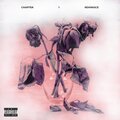 Chapter 1 Reminisce