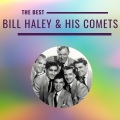 bill haley & his comets - Thirteen Woman In Town