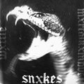 WXTTLE、MxrtvlKxmbvt、Domonic Whittles、selfkilla666 - SNXKES (Explicit)