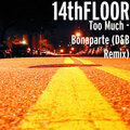14thFLOOR - Too Much - Bonaparte
