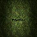 PEACHES 2 (Explicit)