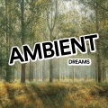 Ambient、Meditation Guru、Meditation Music Zone、Yoga - Angels Singing (SweetVoicesforSleep)
