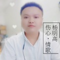 杨明高 - 人生的歌