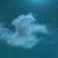 姜瀚宇 - 一荤一素