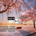 歌者南宸、青菜 - 我愿你桃花不断