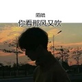 陌皓 - 你看那风又吹