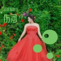 何美珍 - 伤河