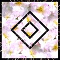 Cercle Rouge、Allan - Hype Grand