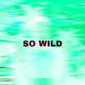 So Wild (Explicit)