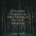 Sueño Profundo、Saludo al Sol Sonido Relajante、Musica para Dormir 101 - Primavera Gloriosa