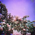 Juxtaposer、ETERNALWINTER - i talk too much