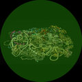 DJ Grimm、Mighty Mouse - Crispy Siren