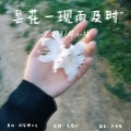 昙花一现雨及时