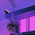 Geezmo - Sleepless