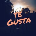 TMF - Te Gusta (Explicit)