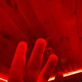 ilovetony - igotvansbish (Explicit)