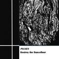 Destroy the Dancefloor