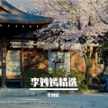 李妙嫣 - 平压另类压声