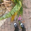 Yoel - walk at the park