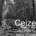 Ceize - Nail in the Coffin (Explicit)