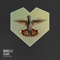 Colibri