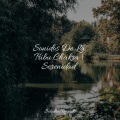 Sonidos De La Tribu Chakra | Serenidad