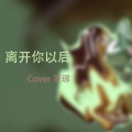 萧琊 - 离开你以后