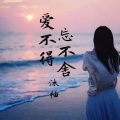 沐柚 - 爱不得忘不舍