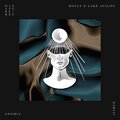 Hollt、Lake Avalon - Perceive