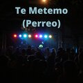 Dj Viral TikToker - Te Metemo
