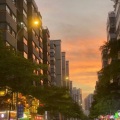 子实、沈清朝 - 帝王的无奈