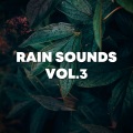 Nature Sounds Nature Seasons、Outdoor Nature、Ibiza Nature Sounds、Taylor Brown - Beautiful Rain Dripping