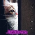 Pentium Pro、Sana - K I T T Y