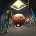 Atlus - You're a F**king ***** Hope You Know That ****
