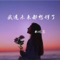 林皖宸 - 我连未来都想好了