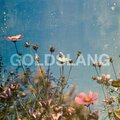 GOLDSLANG、Greymatter - IKYC