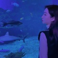 王子歆 - 漫漫人生路