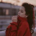 阿丹丹丹 - 为何痴情总被无情伤