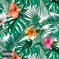 ceR alswO、Salvatore Ganacci - Tropical Dice (Explicit)