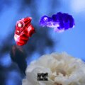 eyes on my opps (Explicit)