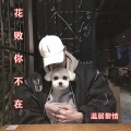 温居黎情 - 花败你不在