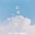 林一 - 你像一场雨