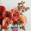 Taoufik Yatabaslam - Balkan