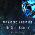 Nigel Neptune - The Spirit Molecule (Planet Neptune Recording's Birth Release - Remix)