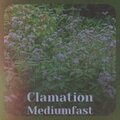 Clamation Mediumfast