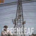 Cavieye - GREENLEAF (Explicit)