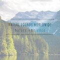 Nature Ambience
