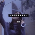 桃梓 - 我还在雨中等你