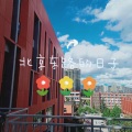 壮壮睡不着 - 北京东路的日子
