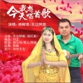 杨柳青、天边阿彪 - 今天我想唱首歌